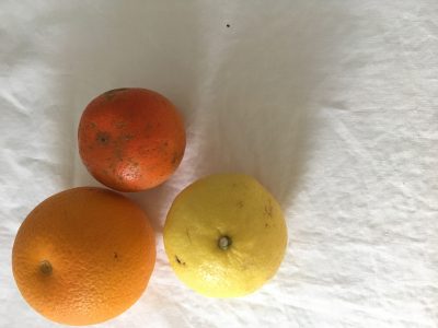 中華基礎 春クラス始まります