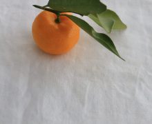 新年のご挨拶